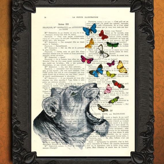 Roaring lioness with butterflies vintage illustration book page - beautifully upcycled La Petite Illustration french book page art print
