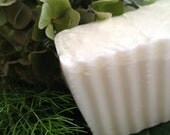 Sweet Orange & Anise Salt Bar