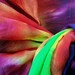Nebula Rainbow Tie Dye Chiffon Silk Scarf 22"x90"