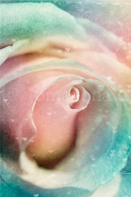 Watercolor Rose 11 x 14 Photographic Print.