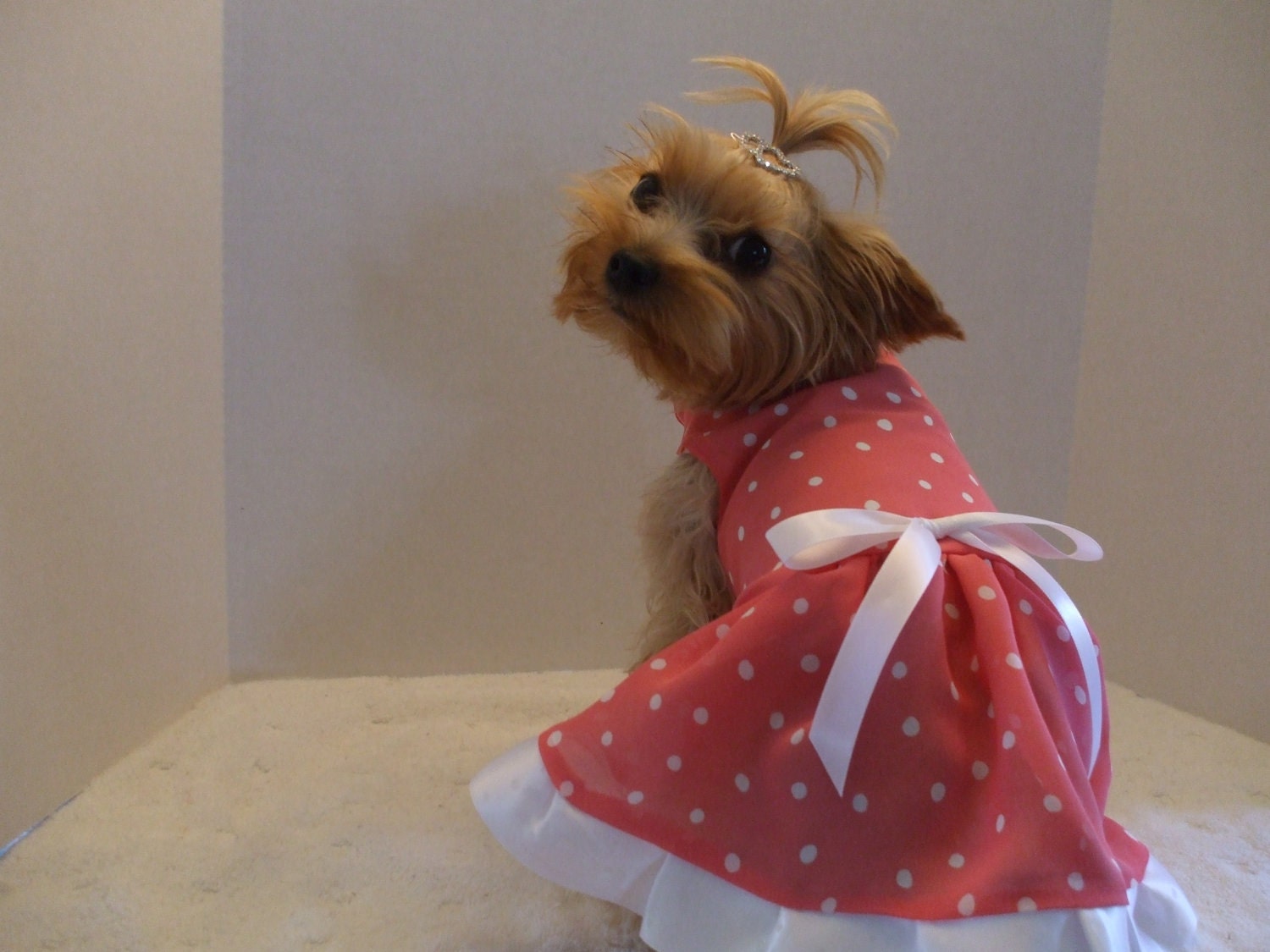 Dog Dress, Peach / White Polka Dot  Size Small