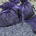 35 ORGANIC Lavender Sachets, 2"x3", AFFORDABLE Bridal Baby Shower FAVORS, SUPERFAsT SHIPPiNG (Any QtY, 12 COLoRs)