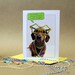 Birthday Card // Dachshund in Silly Costume // Funny