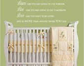 Learn like you are goint o live forever childrens Vinyl Lettering  words wall quotes graphics Home decor playroom  kids bedroom