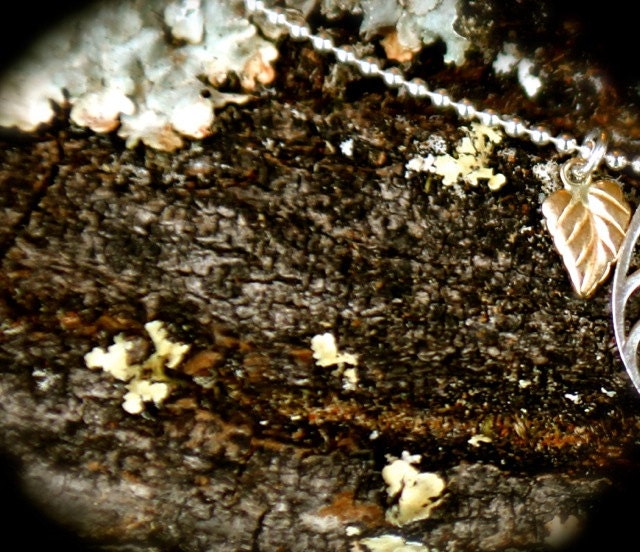 Second Child Leaf