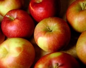 Comfort Food Recipes-Mom Blogger PLR-8 Blog Posts-Recipes Package