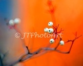 White Berries against Fall Foliage, 8x10 fine art print