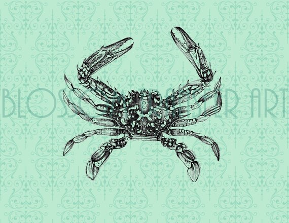 Crab - Vintage Images - Digital Graphics - Transfer - Iron on pillows, totes, paper, napkins - DIY - 1564