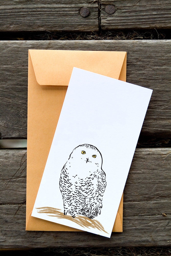 Snowy Owl - 8 Blank flat notecards and manilla envelopes