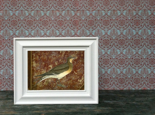 Bird Book Cover - Original COLLAGE