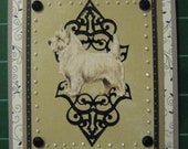 Wonderful Westies, West Highland White Terrier Set of 5 cards with envelopes