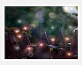 Nature Photogaphy, fantasy, fairies, seed pods, purple, bokeh, One Enchanted Evening fine art photgraphy print 8x10