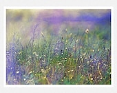 Abstract Photography, lavender, blue, green, wild flowers, Summer Breeze, nature fine art photography print 8x12