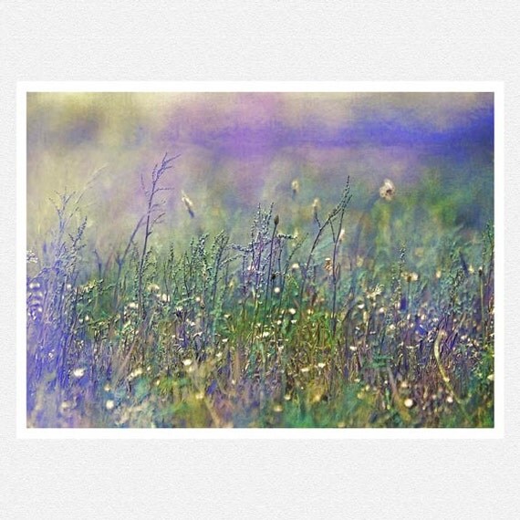 Abstract Photography, lavender, blue, green, wild flowers, Summer Breeze, nature fine art photography print 8x12