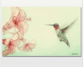 A Humming Bird and Flowers Print 8x10