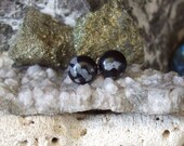 Snowflake Obsidian 10mm Stud Earrings Earings Titanium Post and Clutch Hypo Allergenic Black Grey Lava