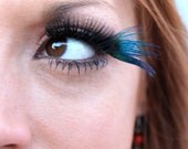 Blue Peacock Feather False Eyelashes