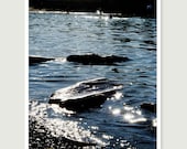 water photograph 8x10, blue water, beach scene, logs in columbia river, metallic print