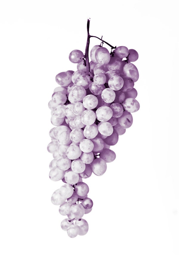food color photography kitchen decor grapes print - fruit still life purple monochromatic food art - 11x14 print