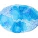 NOR'EASTER abstract watercolor art print in blue and white