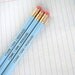 I came, I saw, I ridiculed. Three 3 baby blue pencils make writing in your secret diary and exam taking fun again.