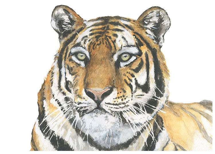 FREE SHIPPING - 5x7" Tiger Original Watercolor Portrait Print
