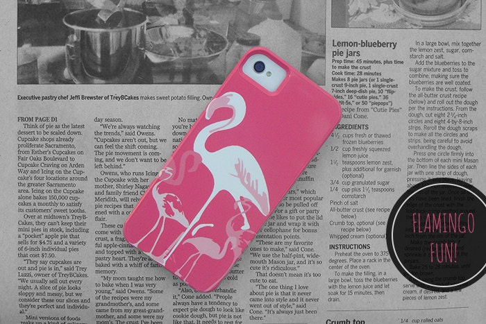 Flamingo Fun // iPhone 5 Case