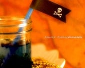 Pirate Party - PRINTABLE Party flags - boy skull stripes red diy pdf