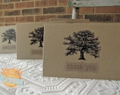 Vintage Oak Tree Thank You Notes set of twenty
