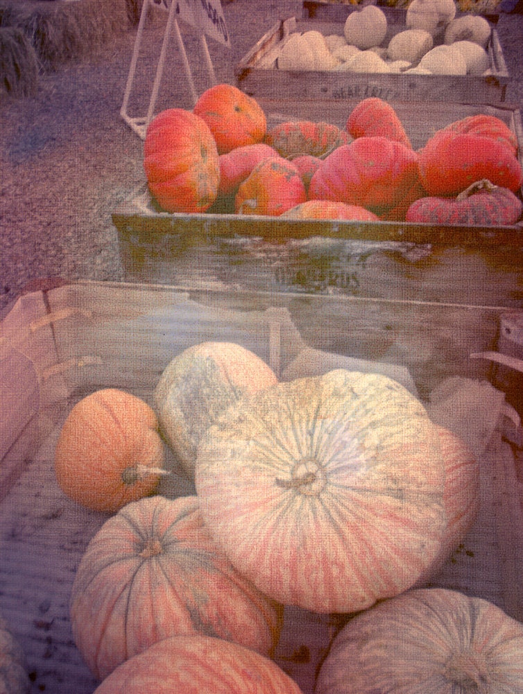 Nature photography, textured, orange, rustic - Fall Harvest 8 x 10 fine art photography
