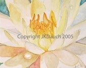 Koi and Lily - Giclee   Original Painting by Jamie Dauch Michigan artist - botanicals decor White water lily