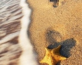 Summer romantic photograph, Starfish and sand footprints, Beach sand and waves, Shark, Beach Print 8x10 or 8x12