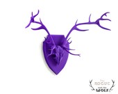 Stag Faux Taxidermy, deer anatomical skull,antlers home decor,mounted deer skull,office decor, novelty gift,woods theme space,mini taxiderm
