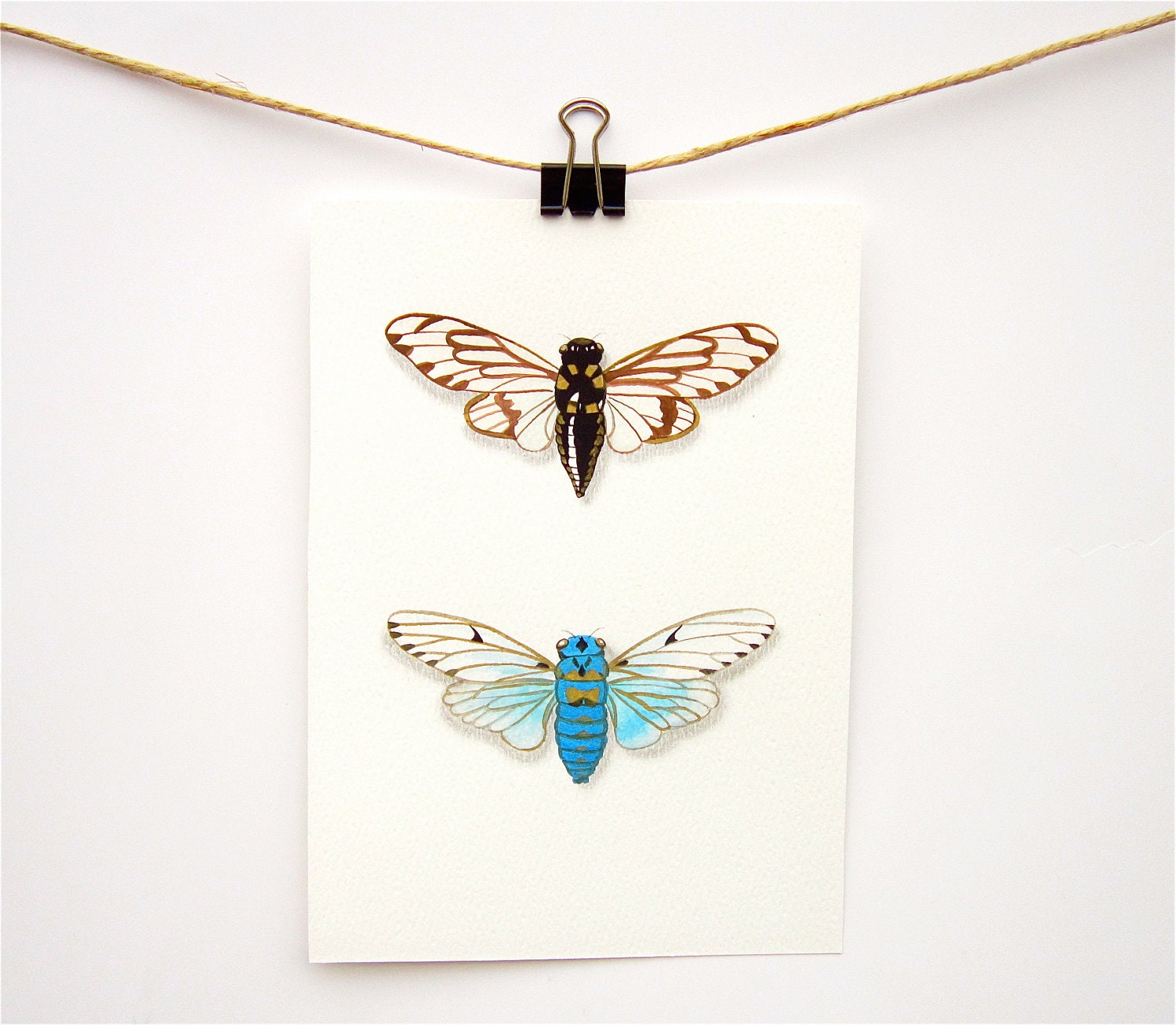 Blue Cicadas insect art print - Print of my painting of two blue cicadas - WingedWorld