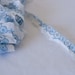 Vintage Embroidered French Edging - Blue and White - For sewing and crafts and scrapbooking