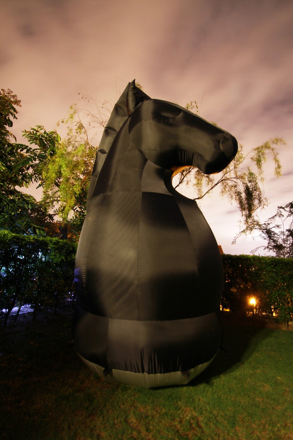 Paladin the Inflatable Knight