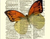 Great Orange Tip Butterfly Print, Orange Butterfly Art, Vintage Dictionary Page, Dictionary Print, Mixed Media Collage, Wall Decor, Wall Art