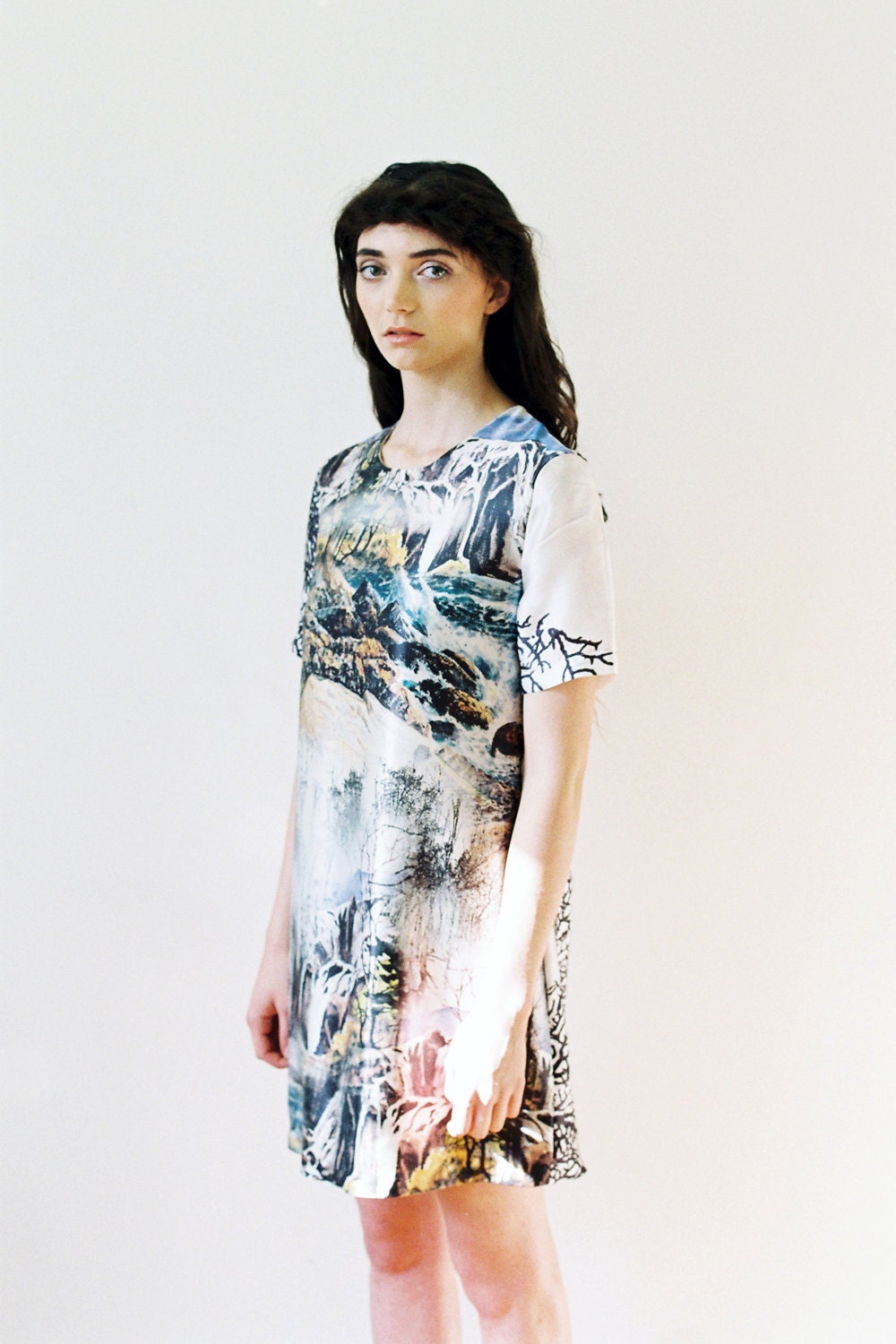 Lost Landscape Shift Dress