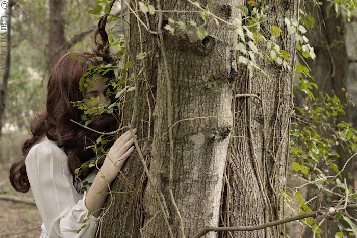A Life Entwined 3 - FREE SHIPPING - Print Girl Trees Hugging Holding Caught Brown Red Green White Hiding Photo Art Portrait Nature