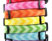 Chevron Dog Collar - Red, Pink, Orange, Yellow, Green, Blue