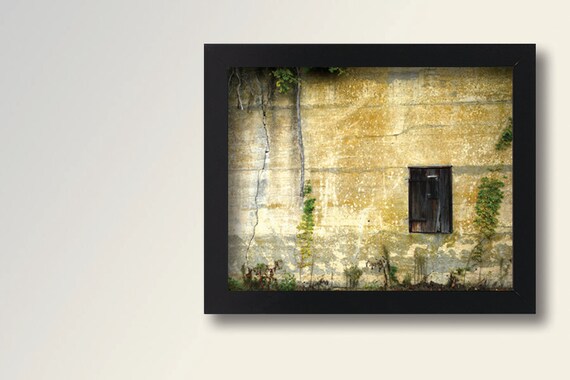 Rustic Vine Wall Print