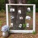 Upcycled Vintage Window Memo Board Distressed with Scroll Applique and Glass Knobs Shabby Chic