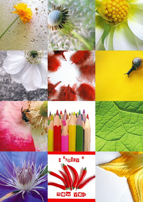 set of 7 post cards : pick your choice