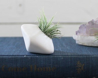 Faceted Porcelain Air Plant holder No.5 -Plant Included-