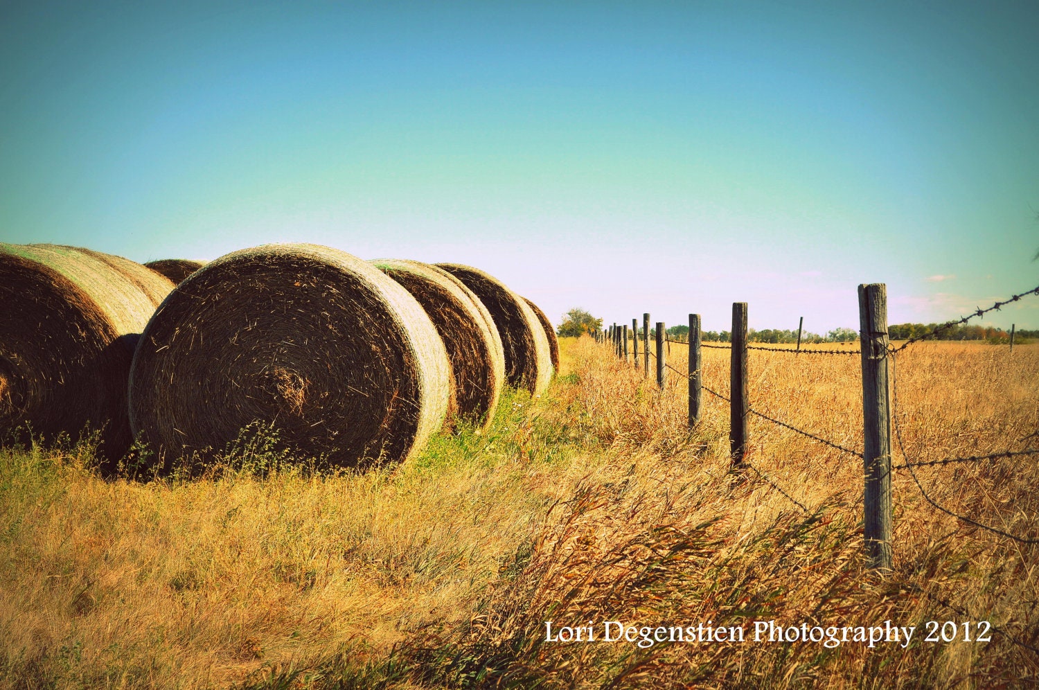 The Harvest Photo,  8x10 Print, Saskatchewan Landscape