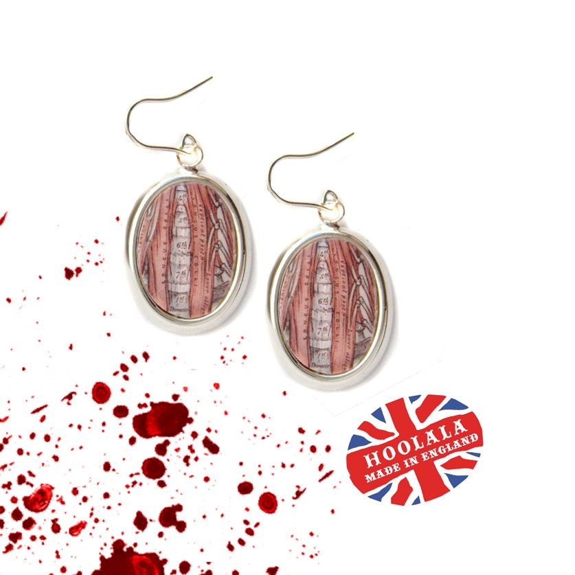 Anatomical Victorian Anatomy Spinal Cord Charm Earrings from Hoolala