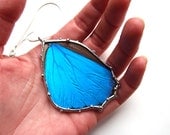 Blue Morpho Butterfly - Real Butterfly Necklace