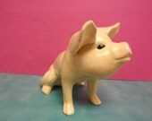 Oinker dog