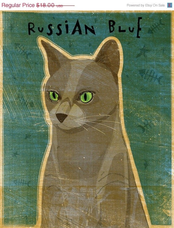 Russian Blue Cat