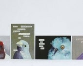 Troubled Birds Postcard Set 2